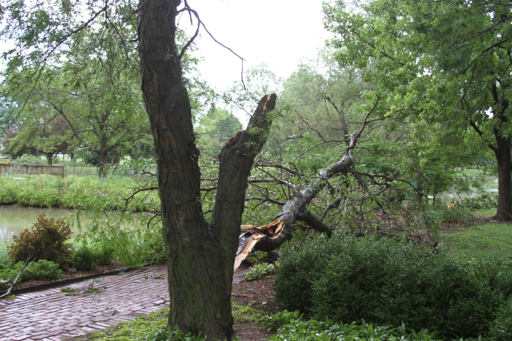 Sthur Museum Damage
